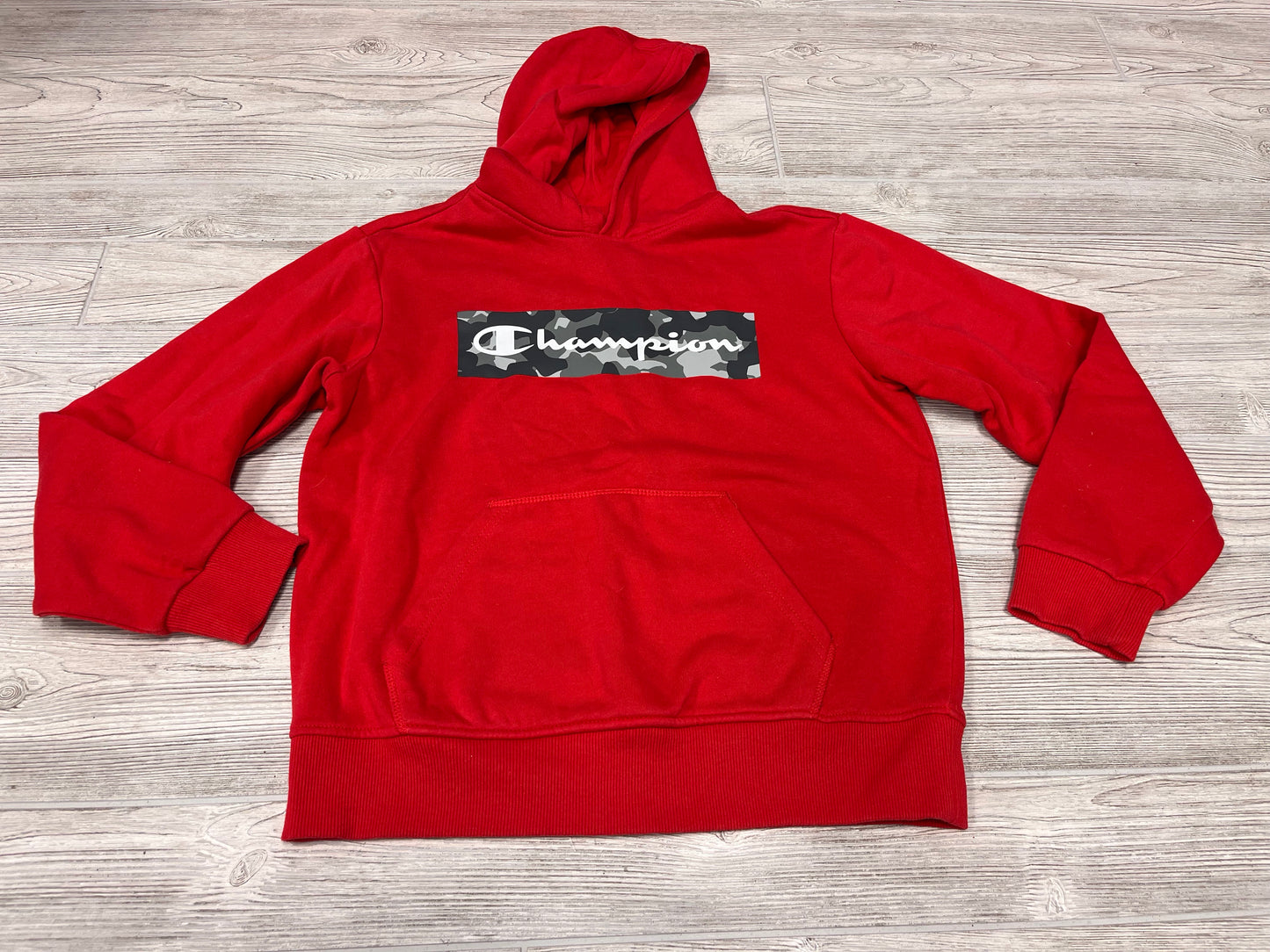 Champion Hooded Sweatshirt