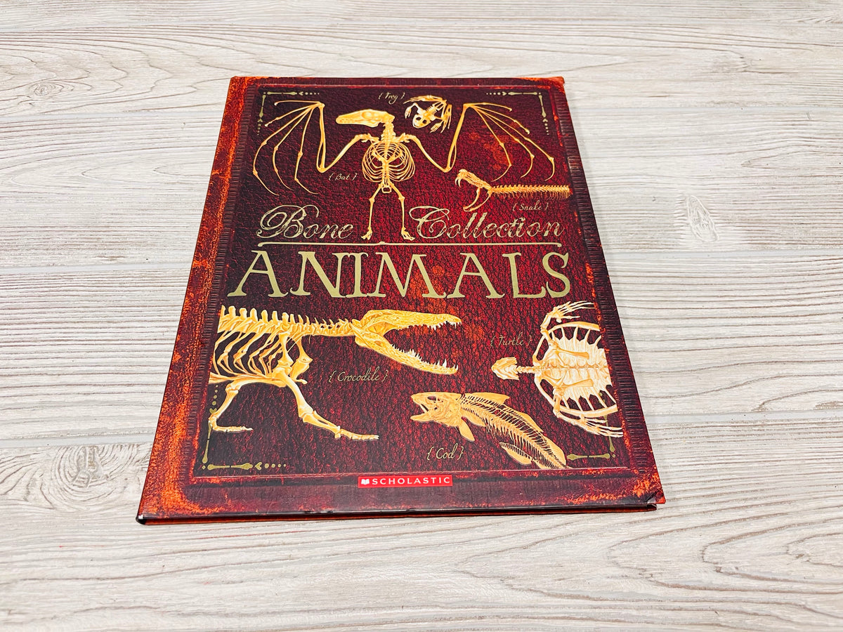 Bone Collection Animals