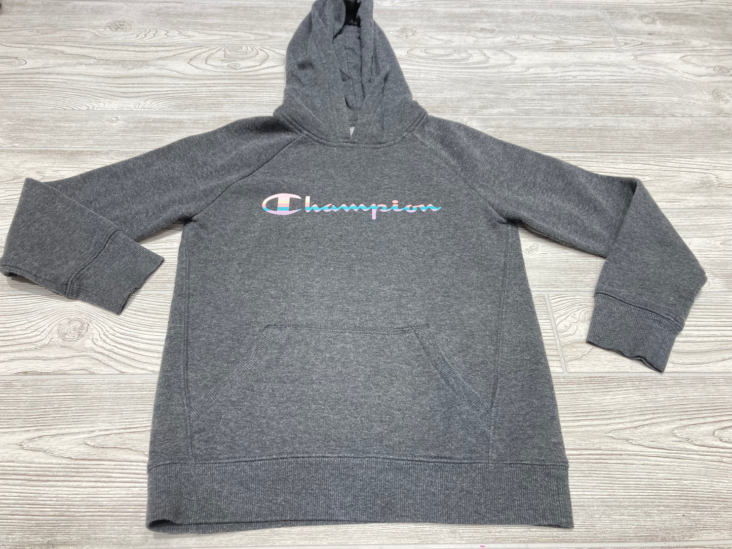 Champion Hooded Sweatshirt