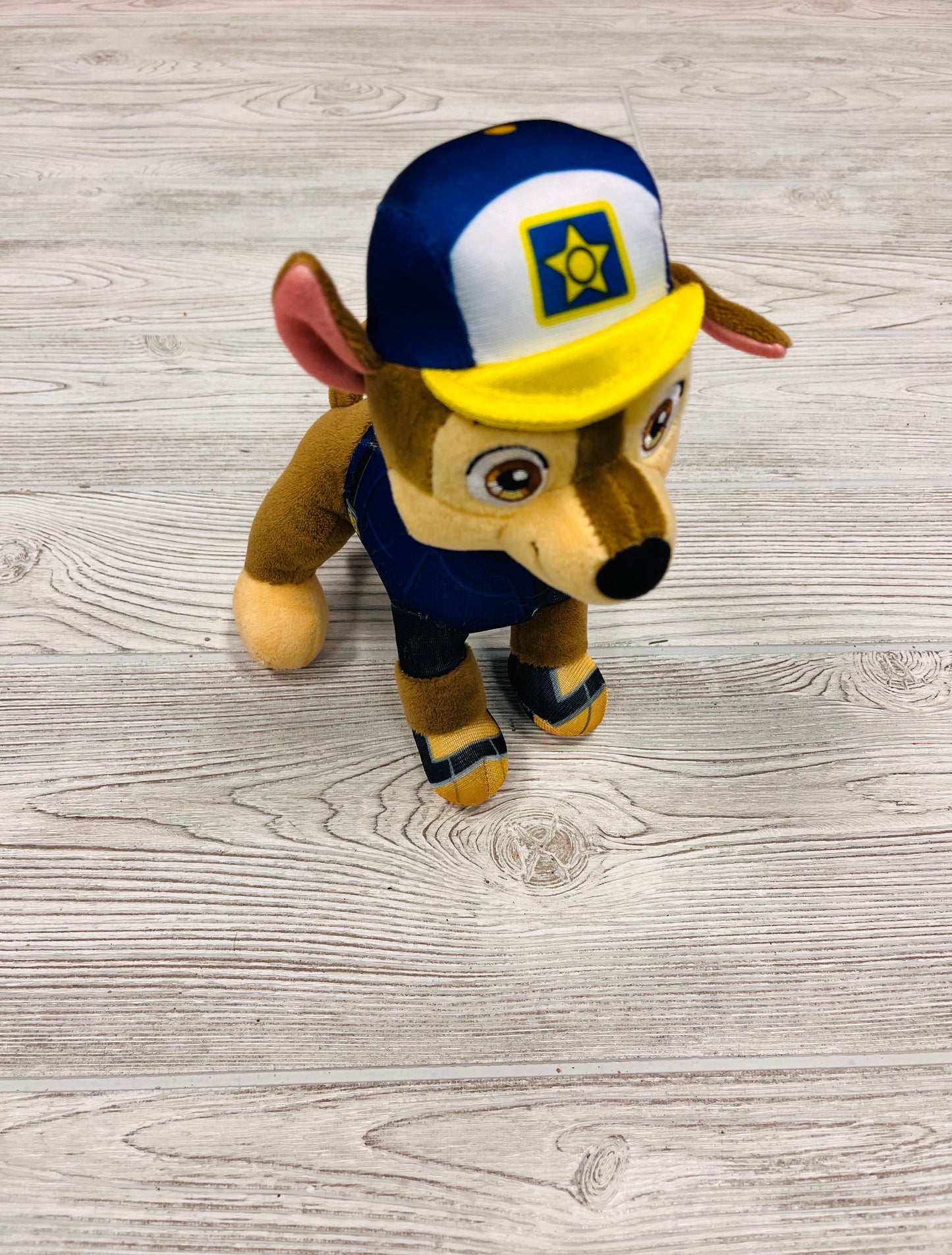 Paw Patrol Chase