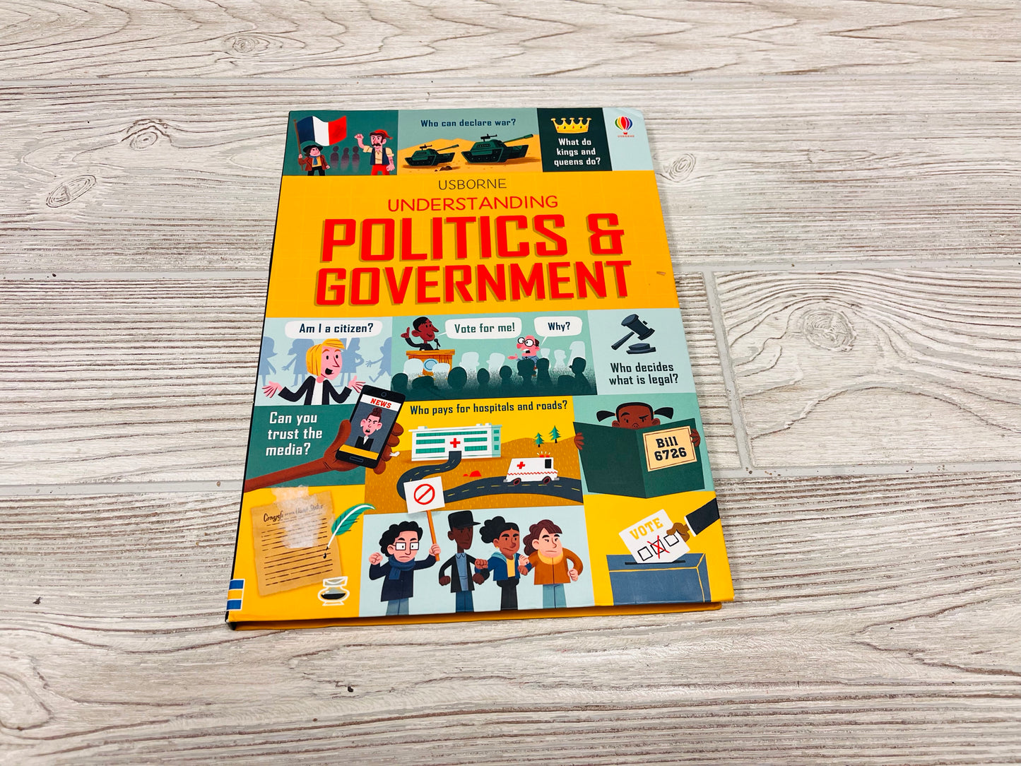 Usborne Understanding Politics & Government