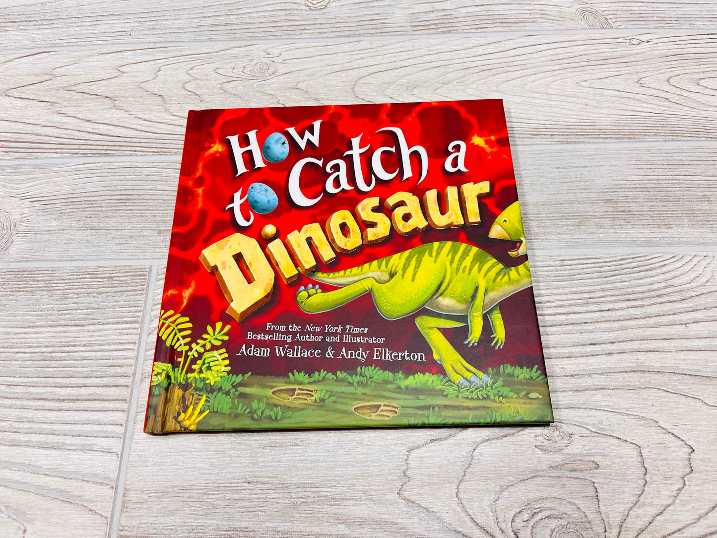 How to Catch a Dinosaur