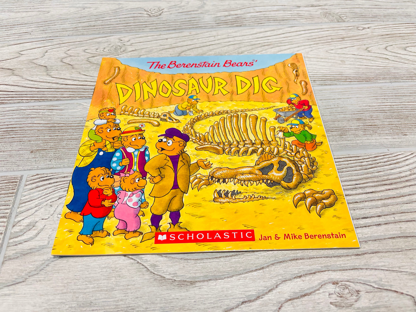 The Berenstain Bears Dinosaur Dig