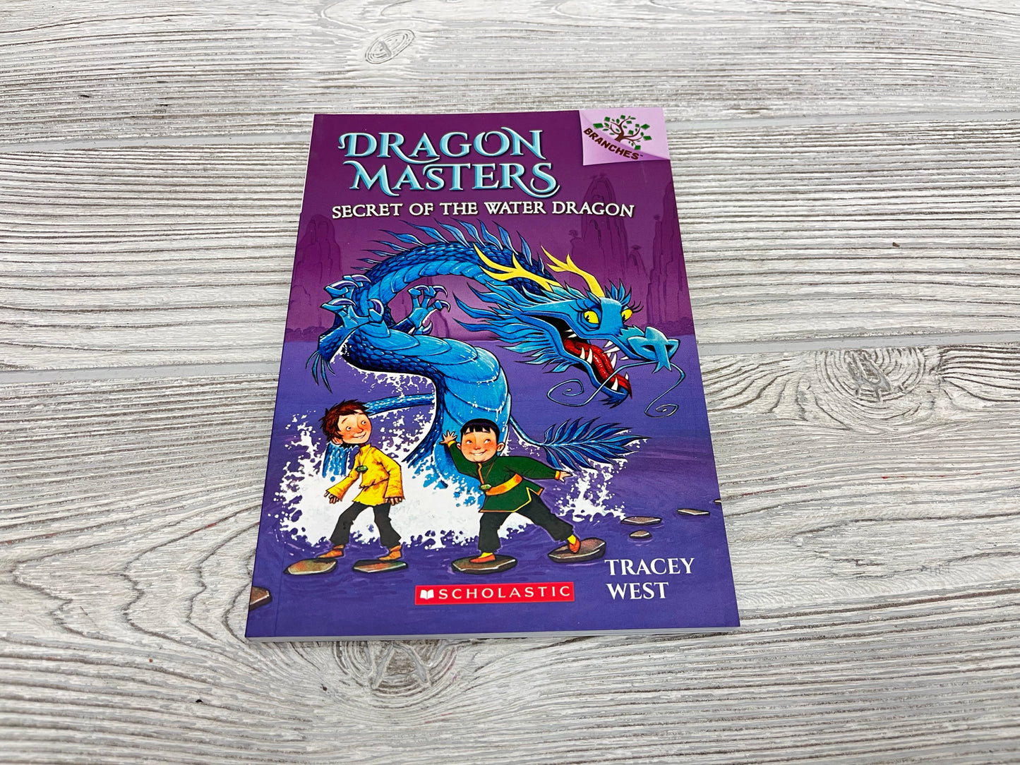 Dragon Masters Secret Of The Water Dragon