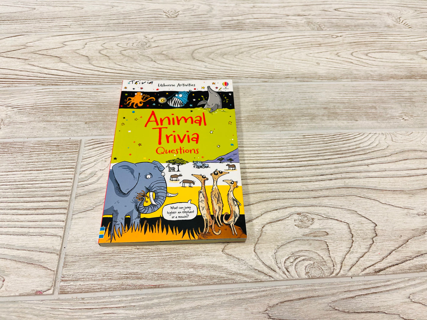 Usborne Activities Animal Trivia Questions