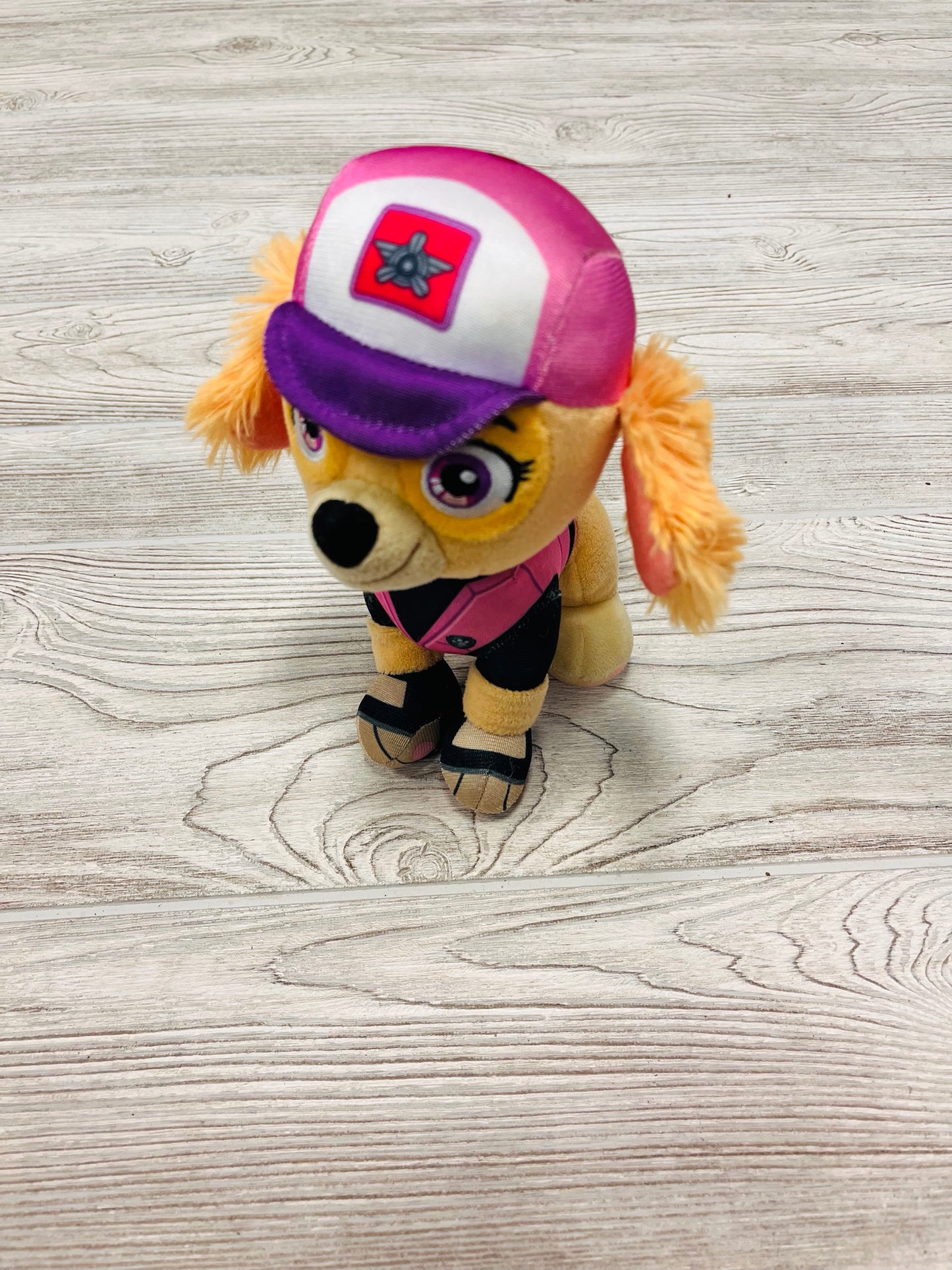 Paw Patrol Big Truck Skye Pup