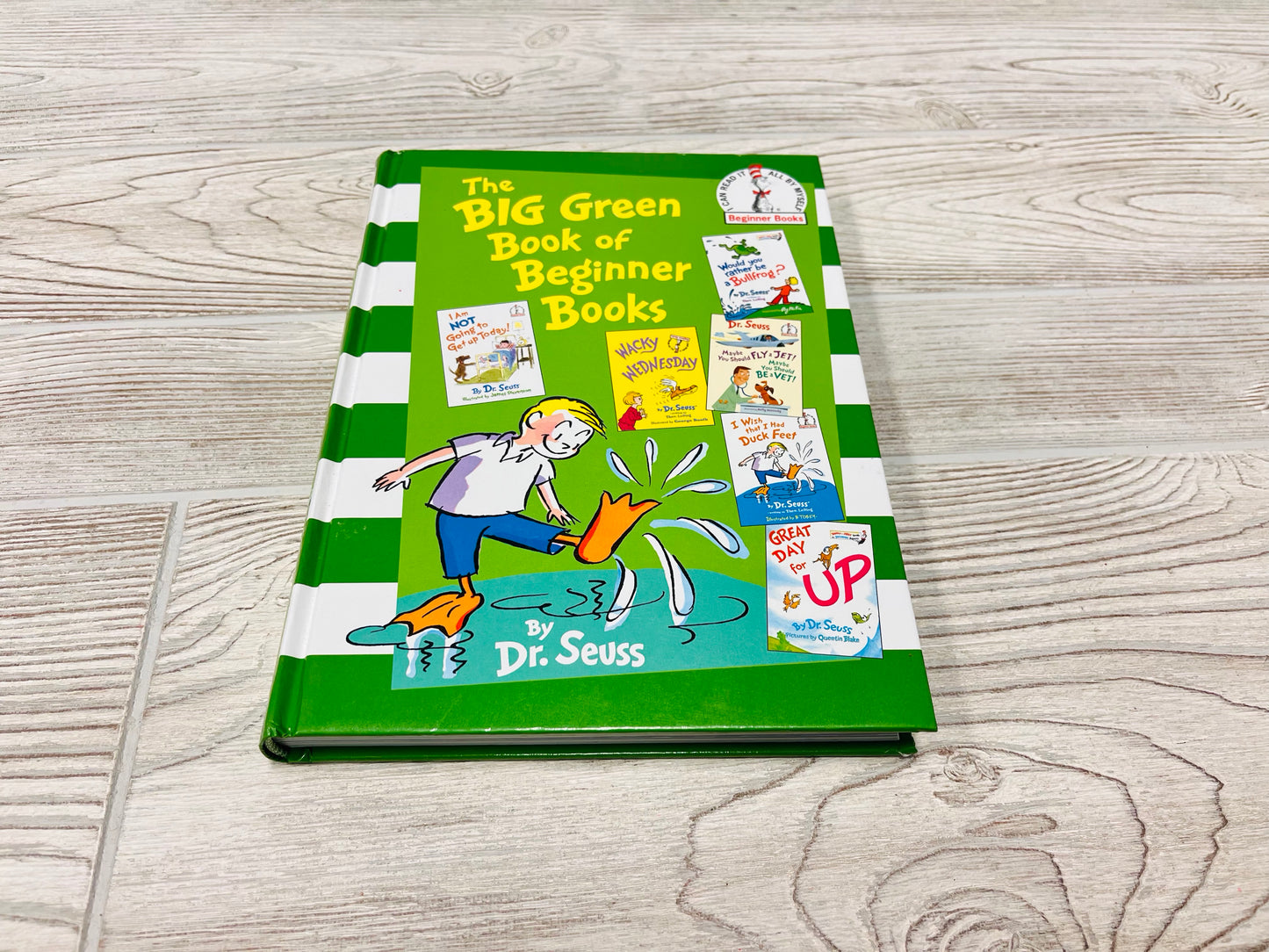 The BIG Green Book of Beginner Books