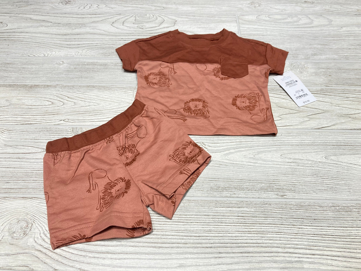 Carter’s Two Piece Lion Print Outfit