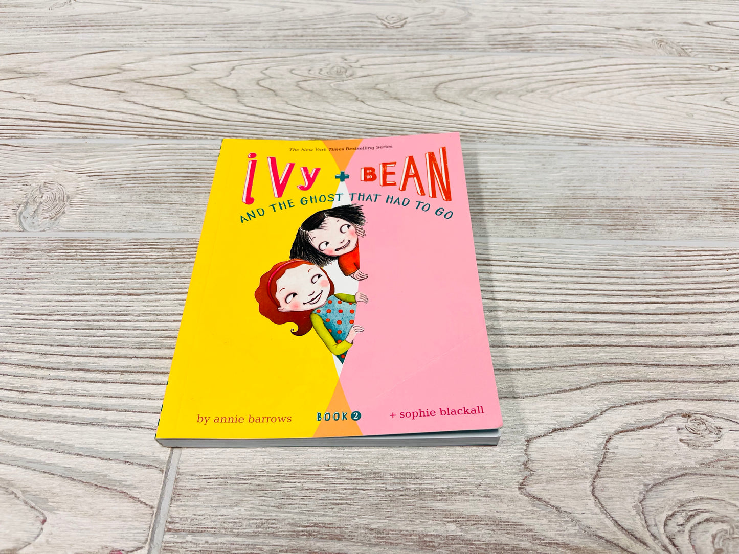 Ivy + Bean And The Ghost That Had To Go