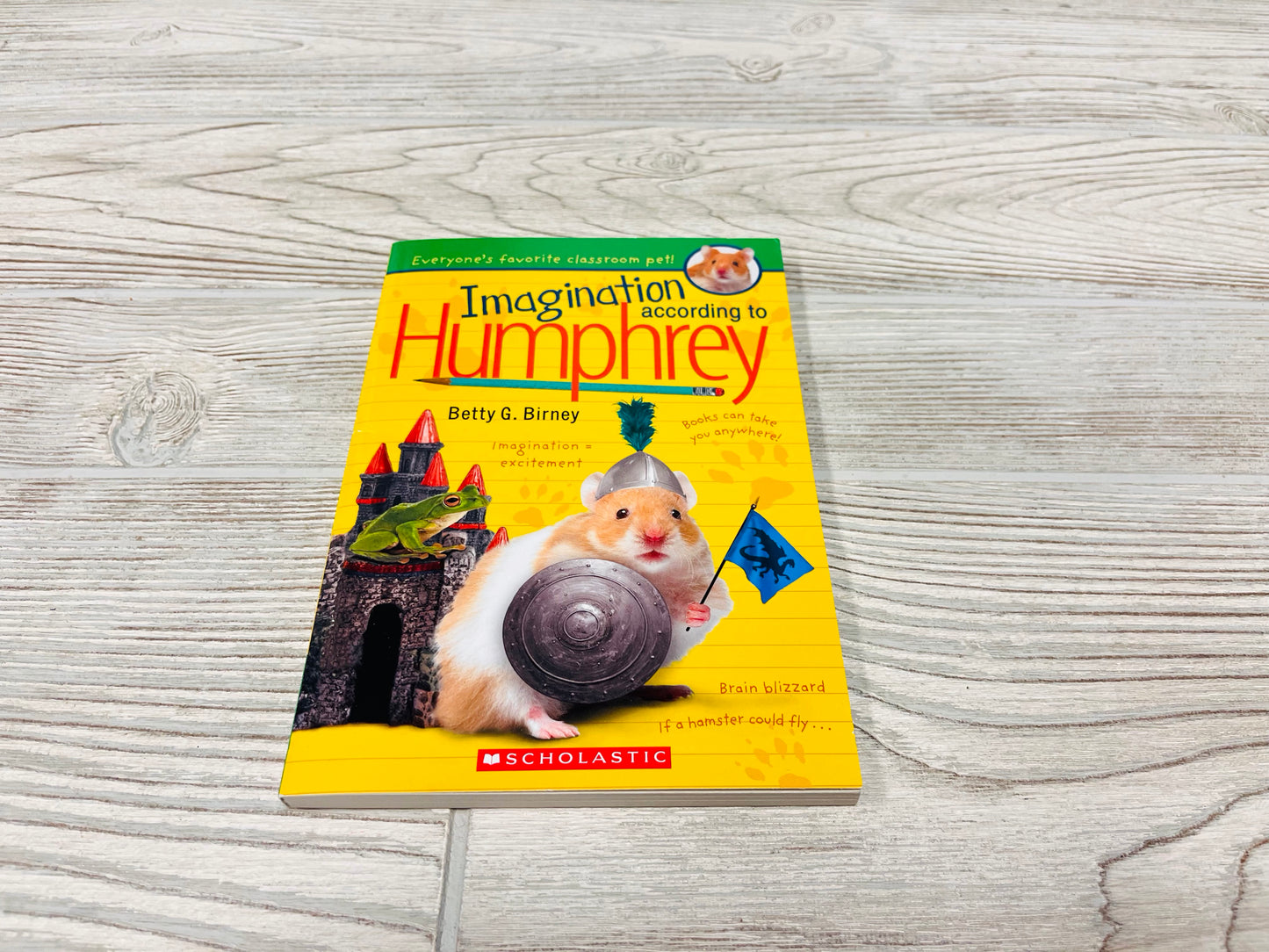 Imagination according to Humphrey