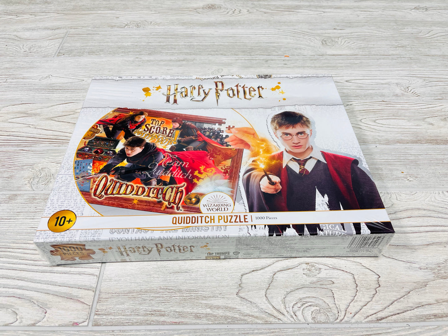 Harry Potter Quidditch Puzzle