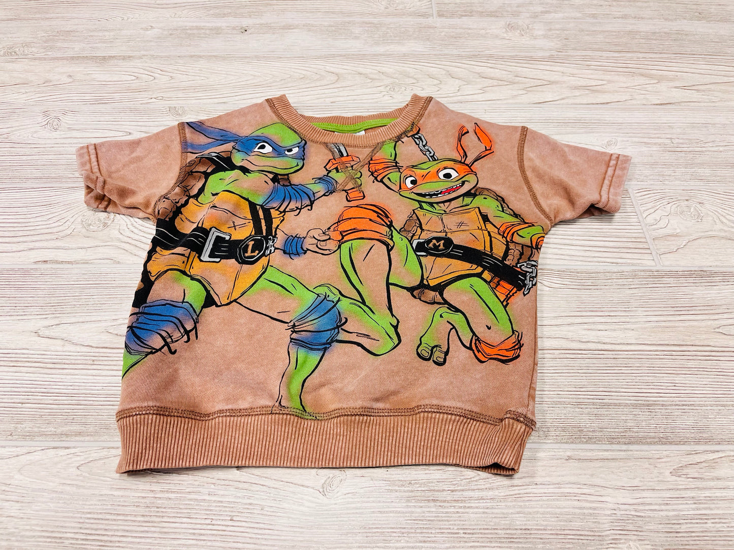Teenage Mutant Ninja Turtles Short Sleeve Sweatshirt