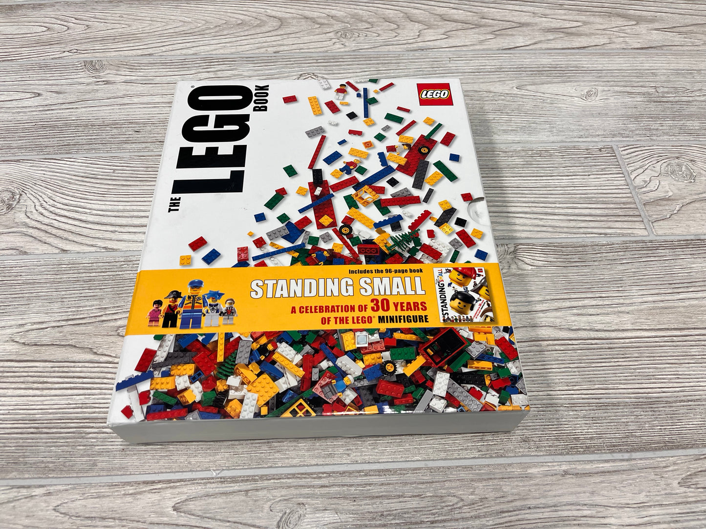 The LEGO®️ Book & Standing Small Book Set