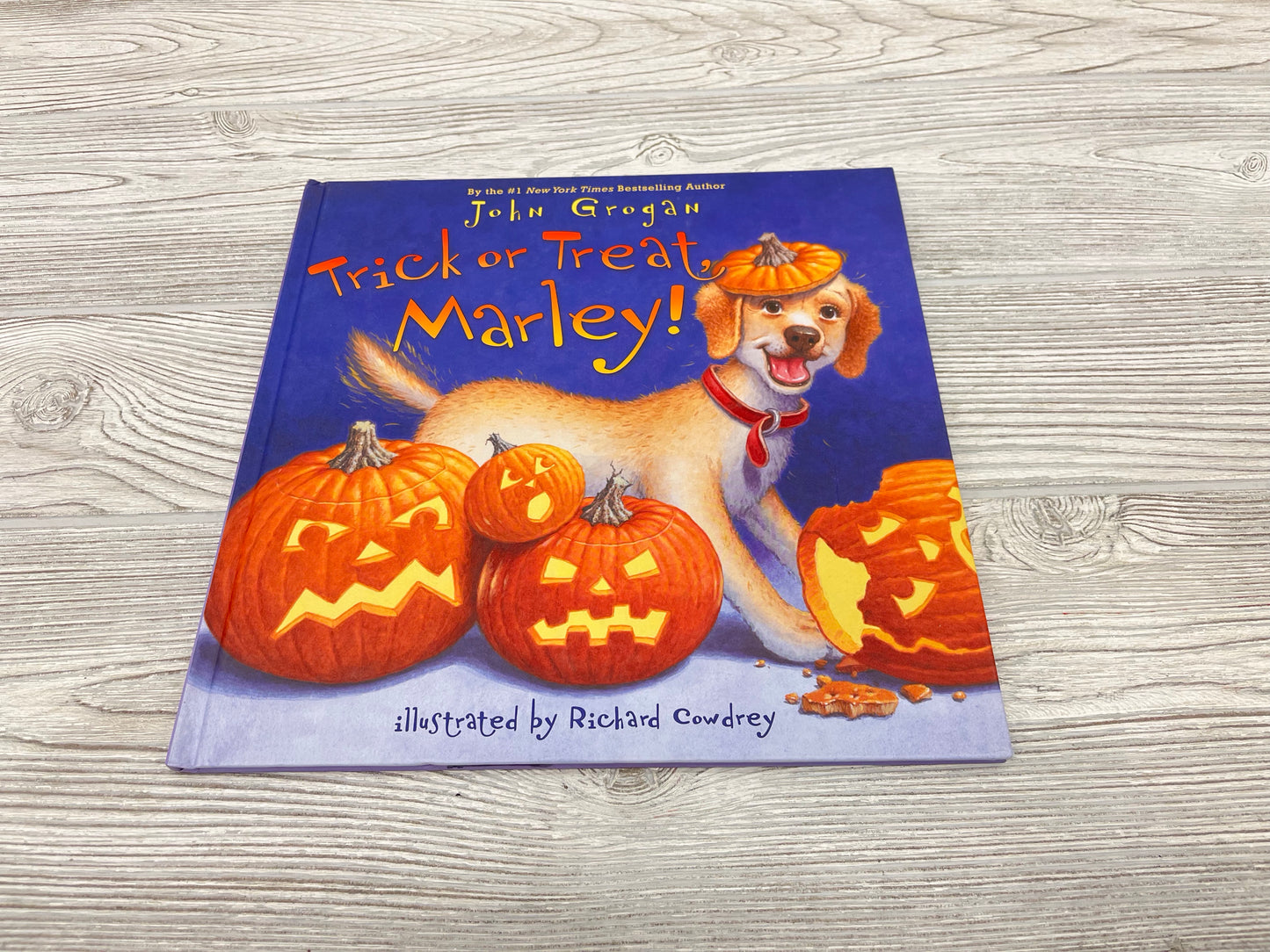 Trick or Treat, Marley!