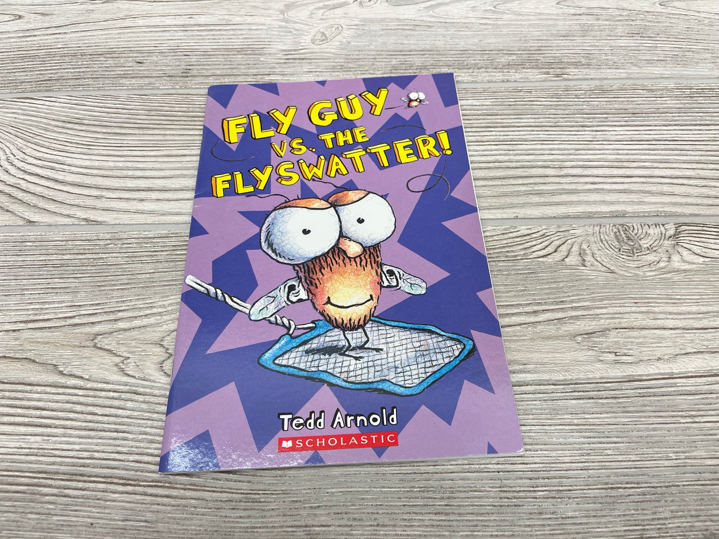 Fly Guy Vs. The Flyswatter!