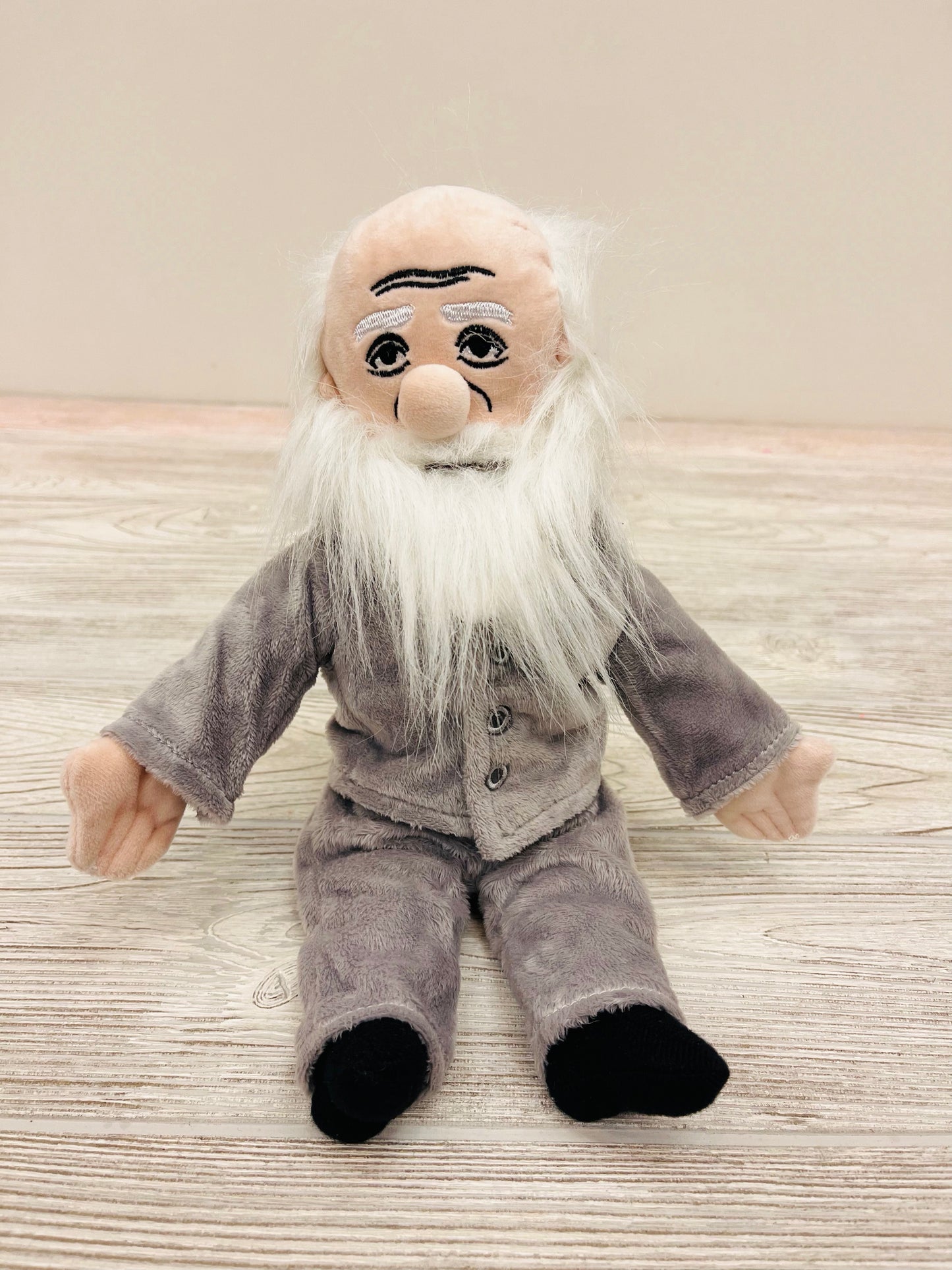 Little Thinker Charles Darwin