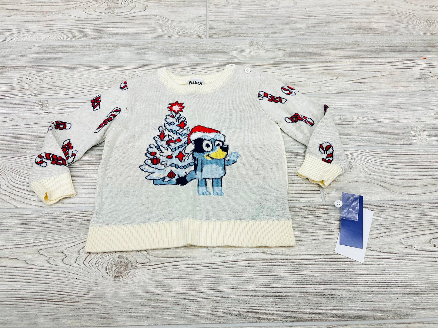 Bluey Sweater