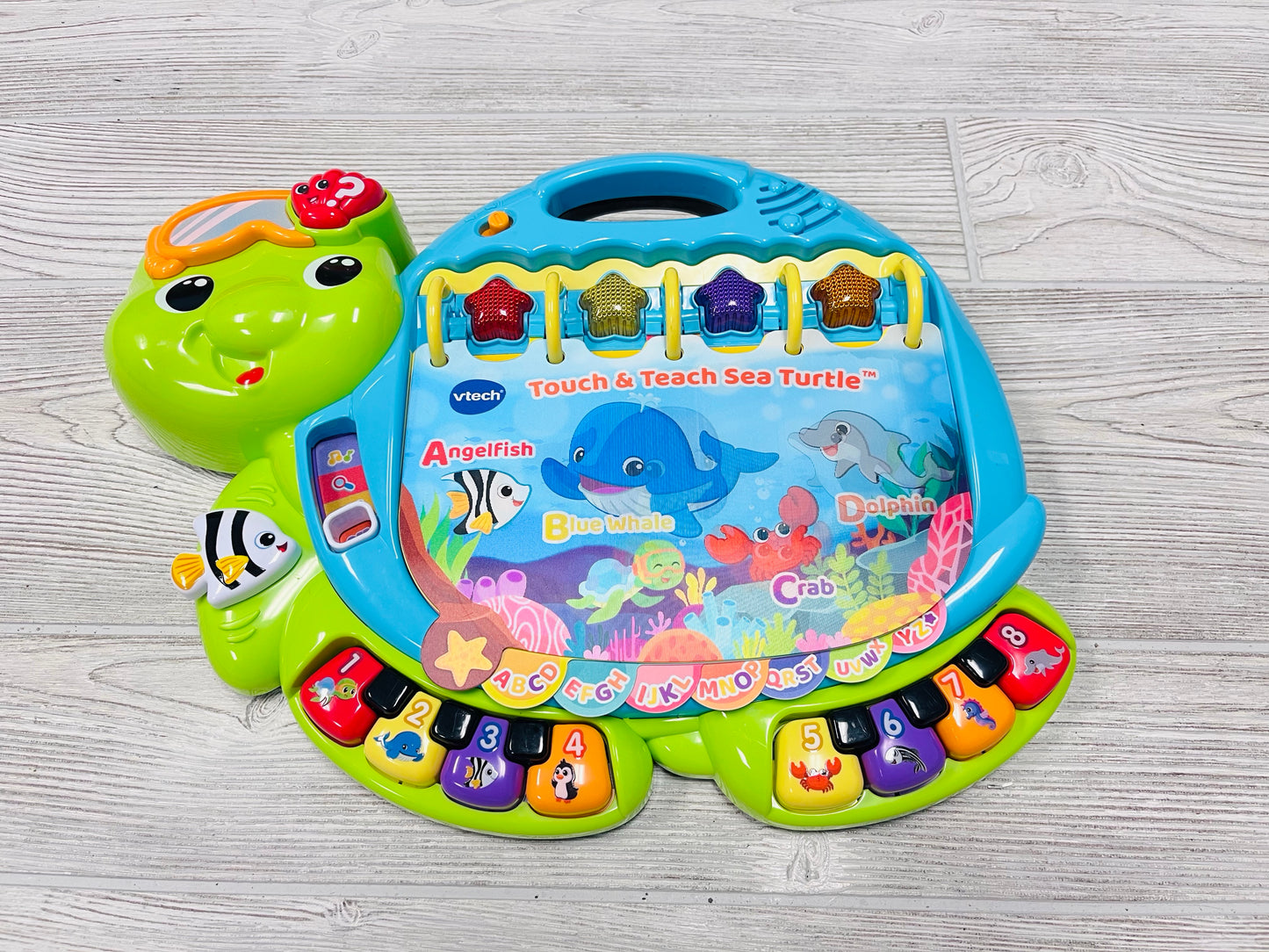 VTech Touch & Teach Sea Turtle