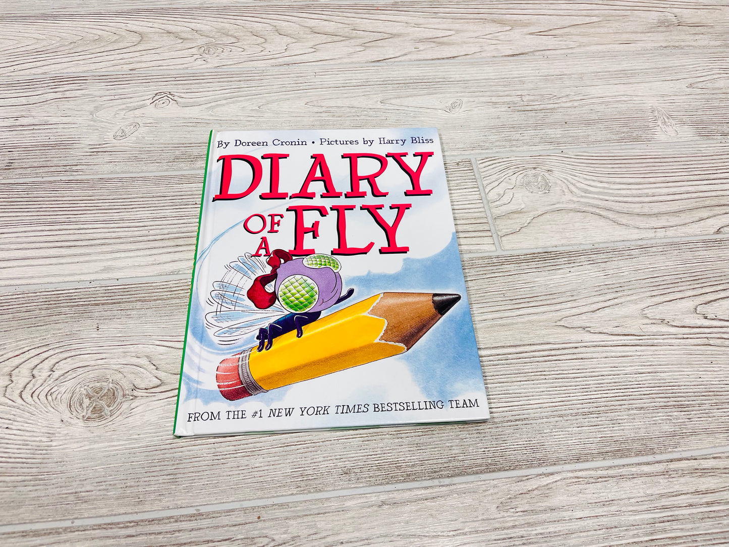 Diary Of A Fly