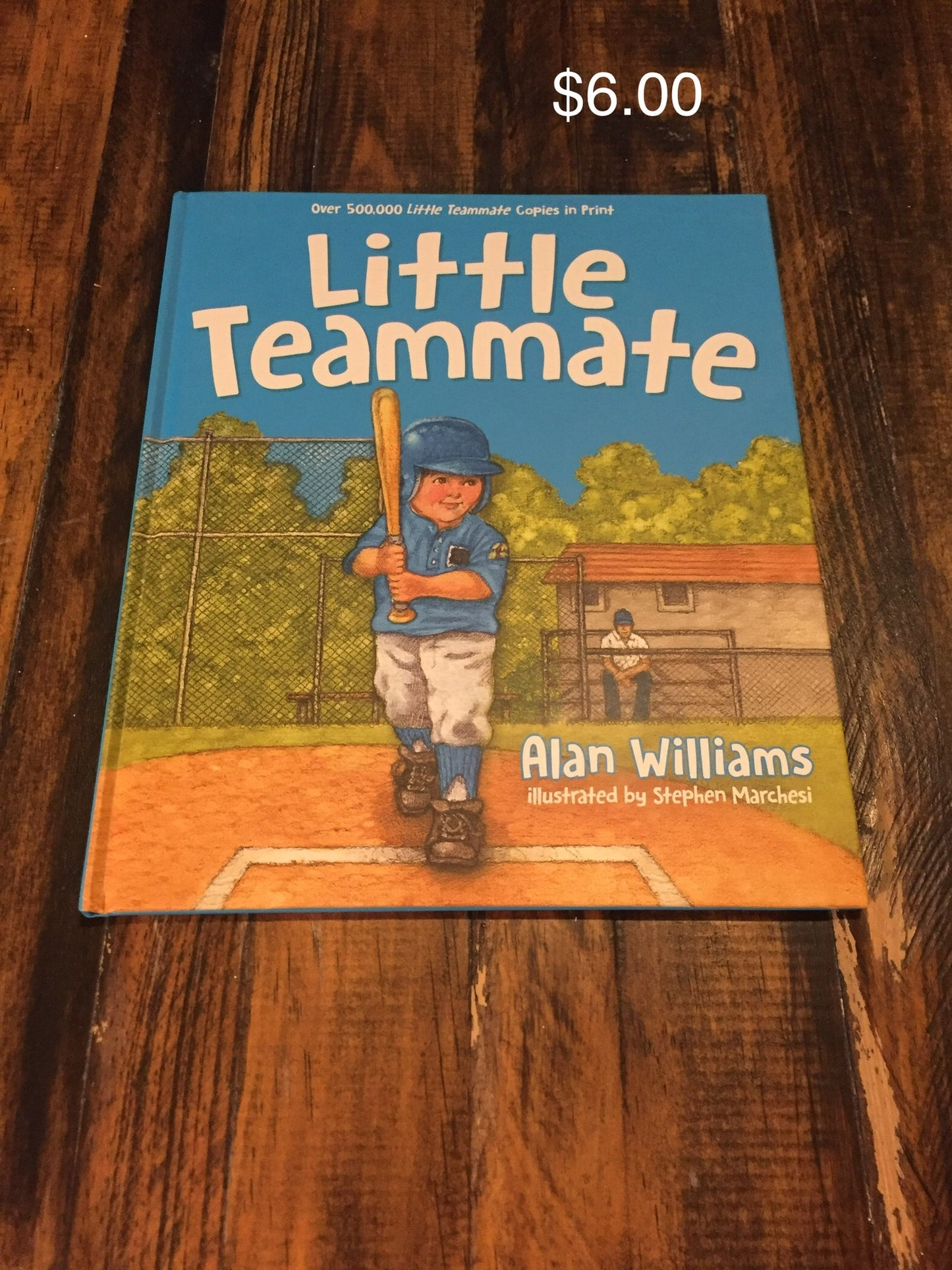 Little Teammate