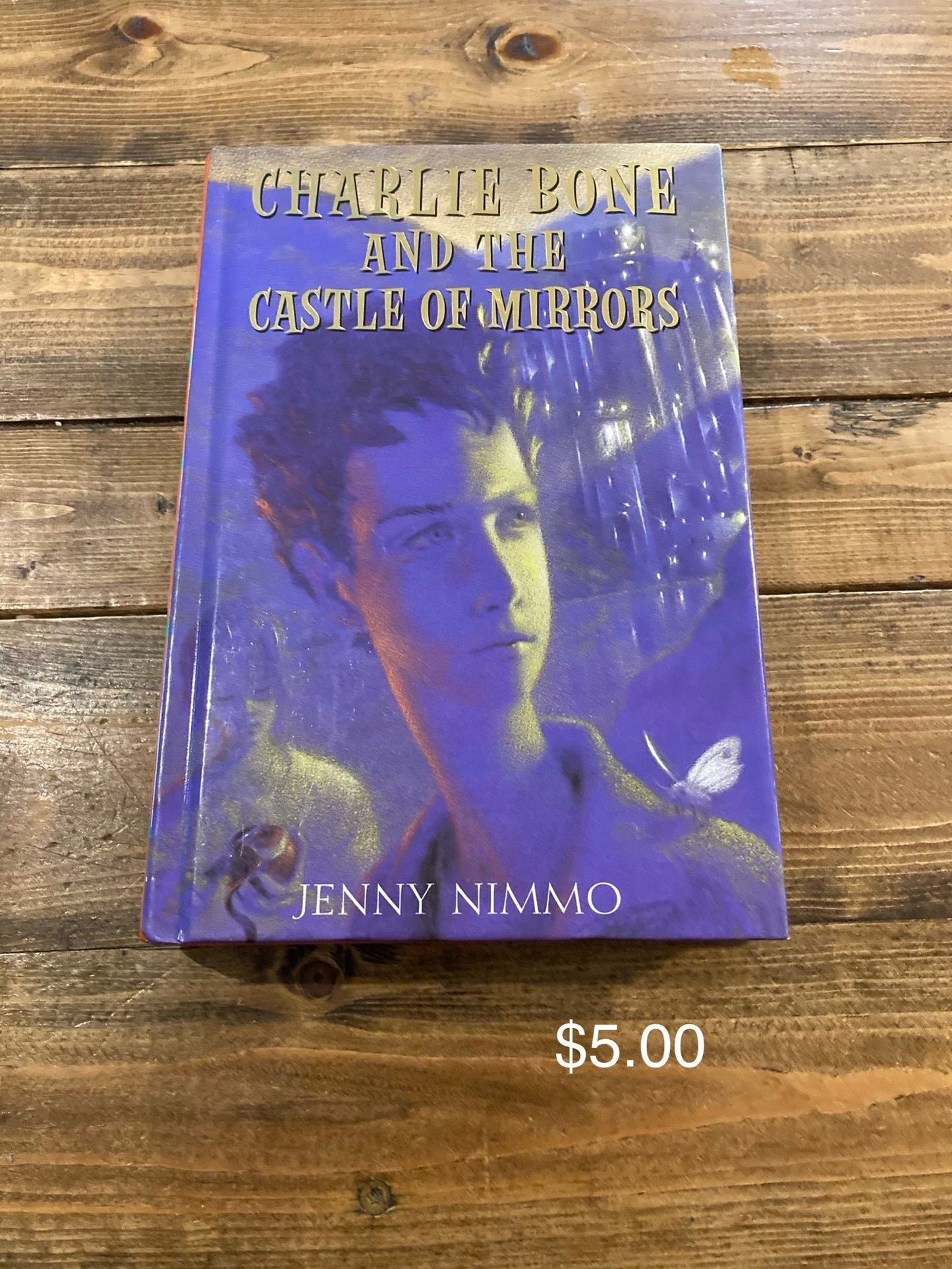 Charlie Bone And The Castle of Mirrors