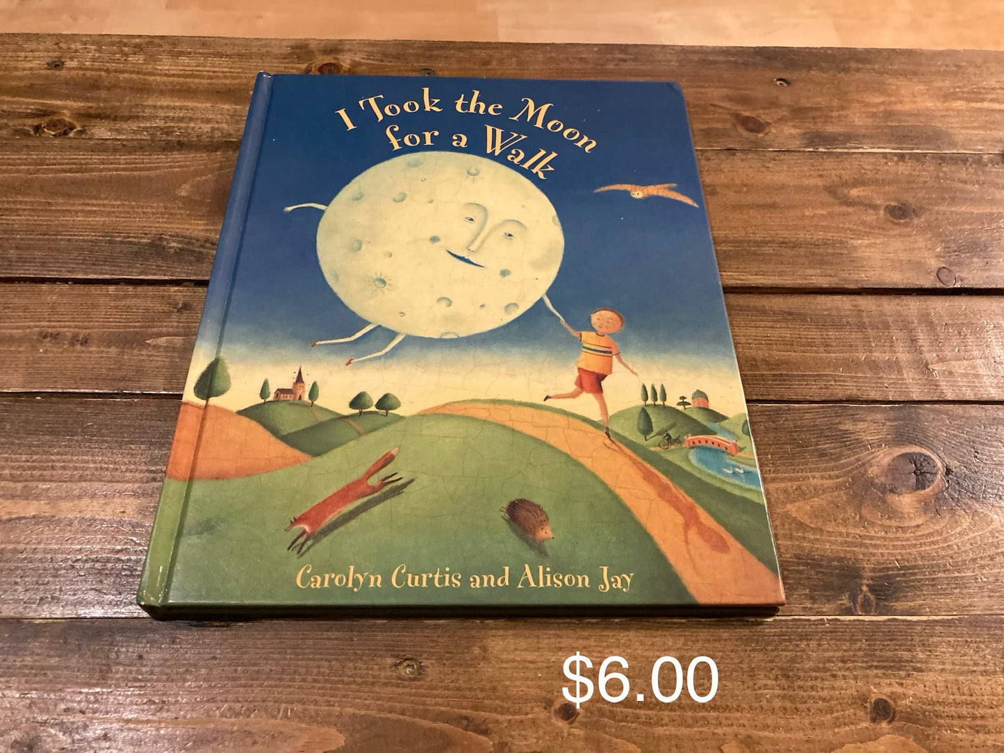 I Took the Moon for a Walk
