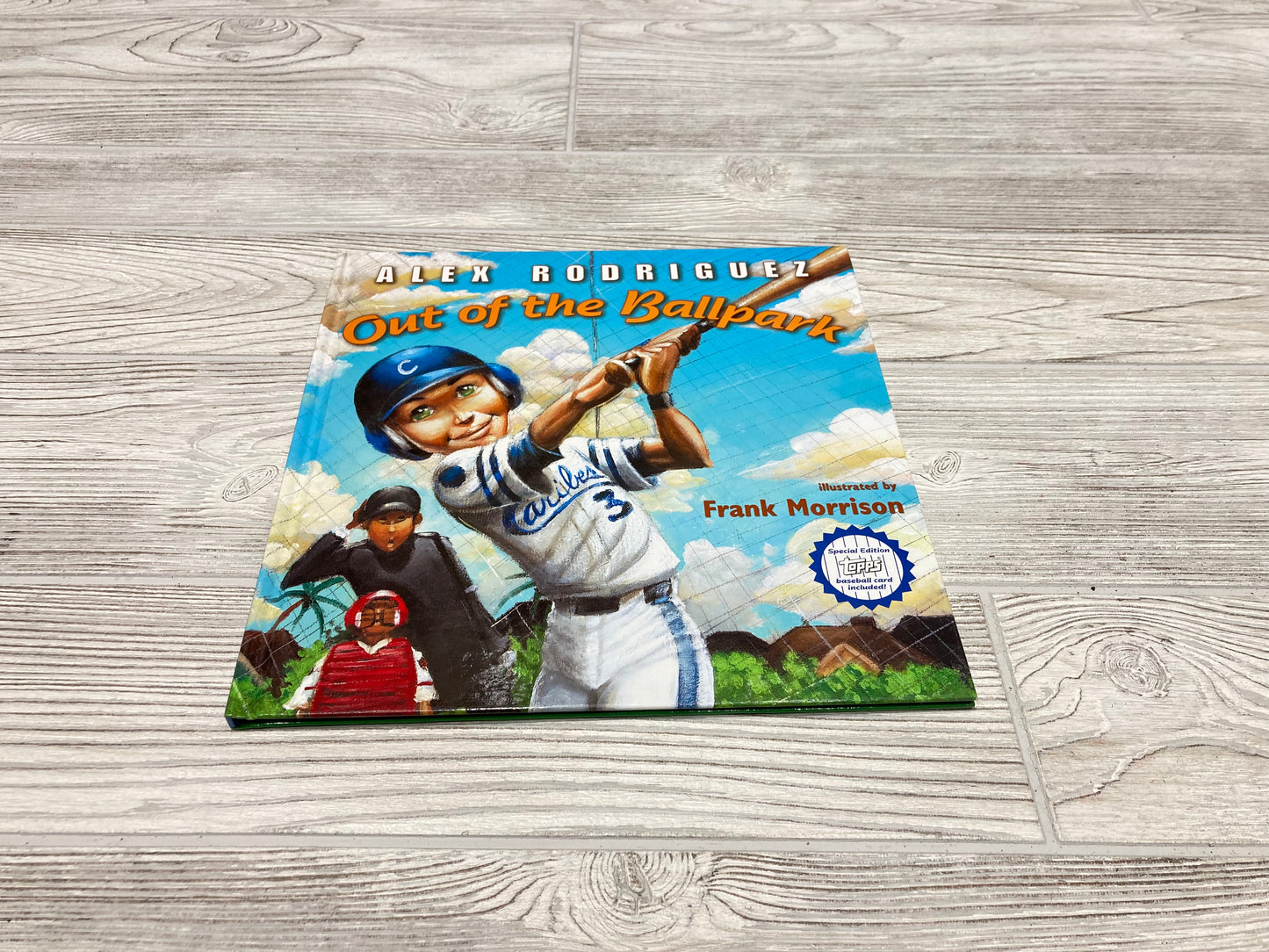 Out of the Ballpark