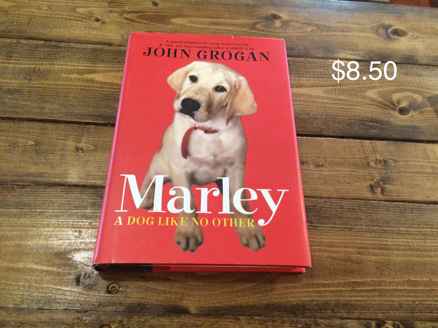 Marley A Dog Like No Other