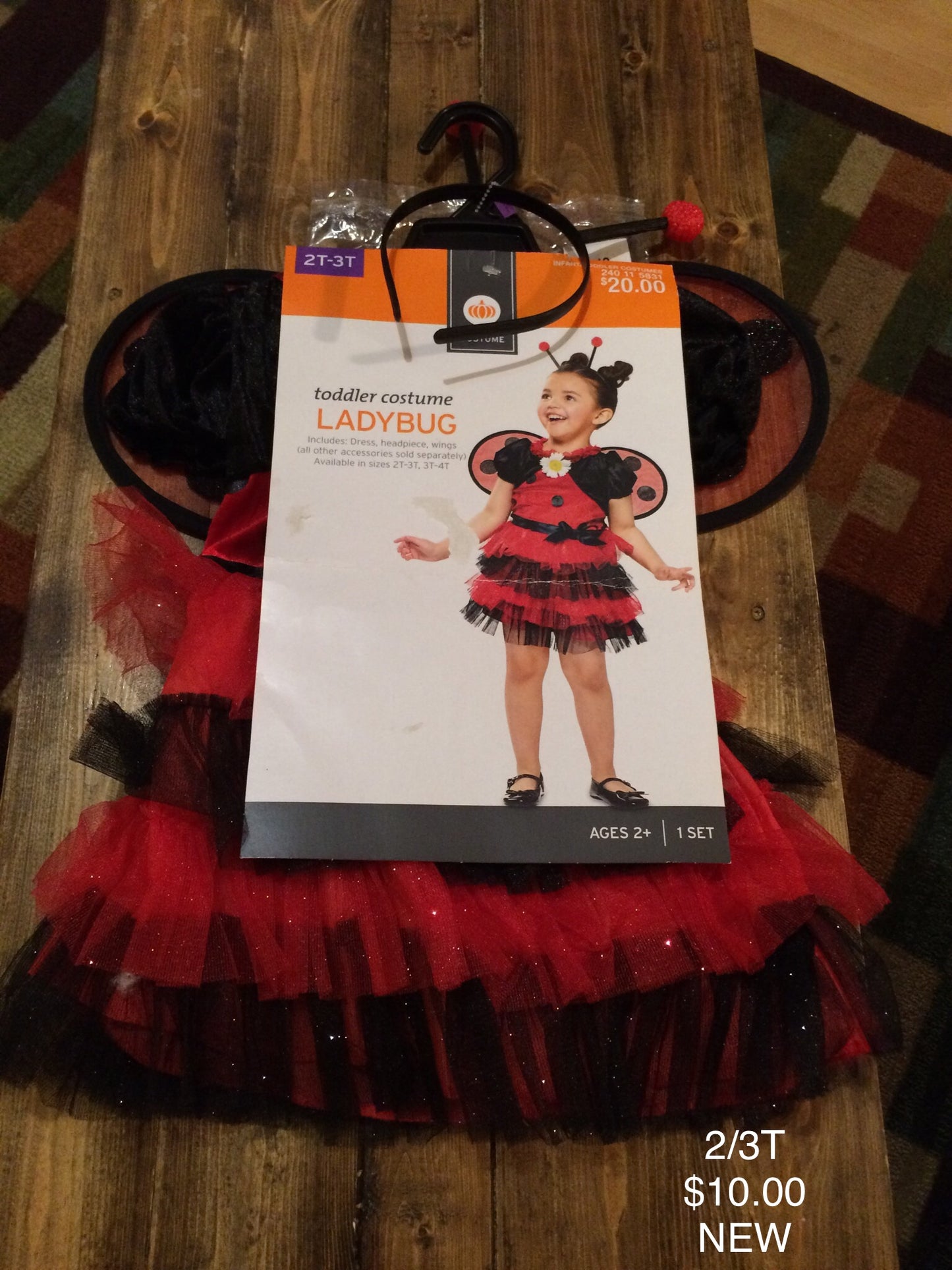 Ladybug Costume