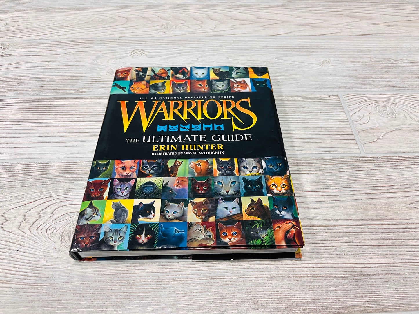Warriors The Ultimate Guide