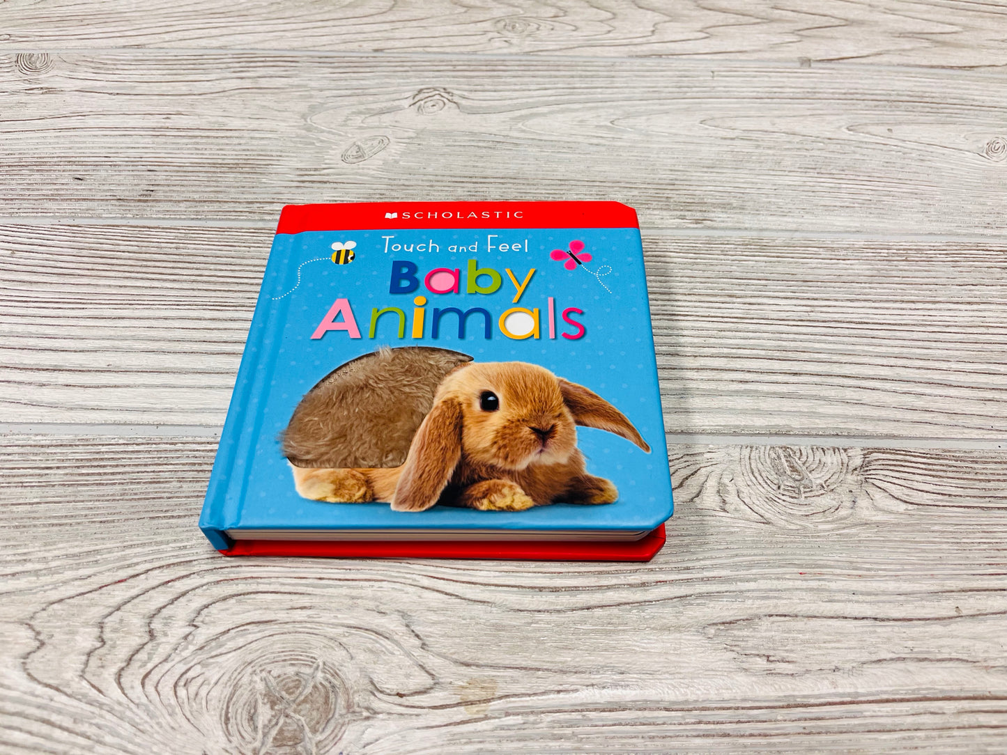 Baby Animals Touch and Feel