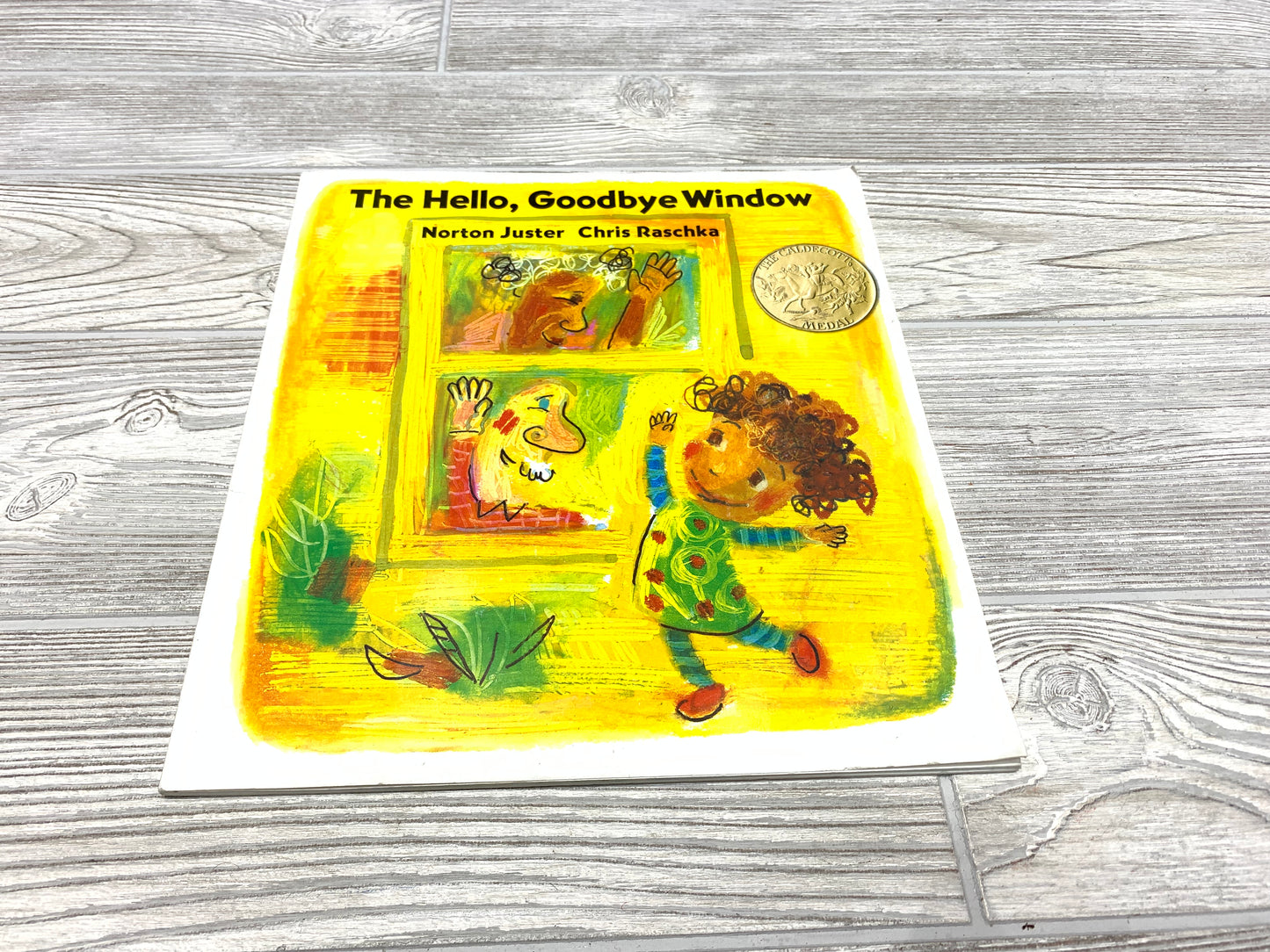 The Hello, Goodbye Window