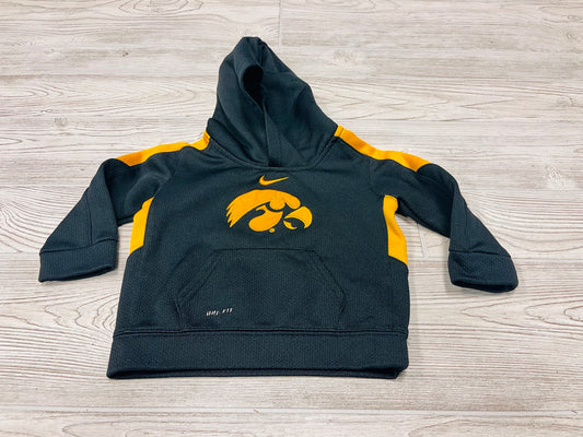 Nike Dri-Fit Iowa Hawkeyes Hooded Sweatshirt