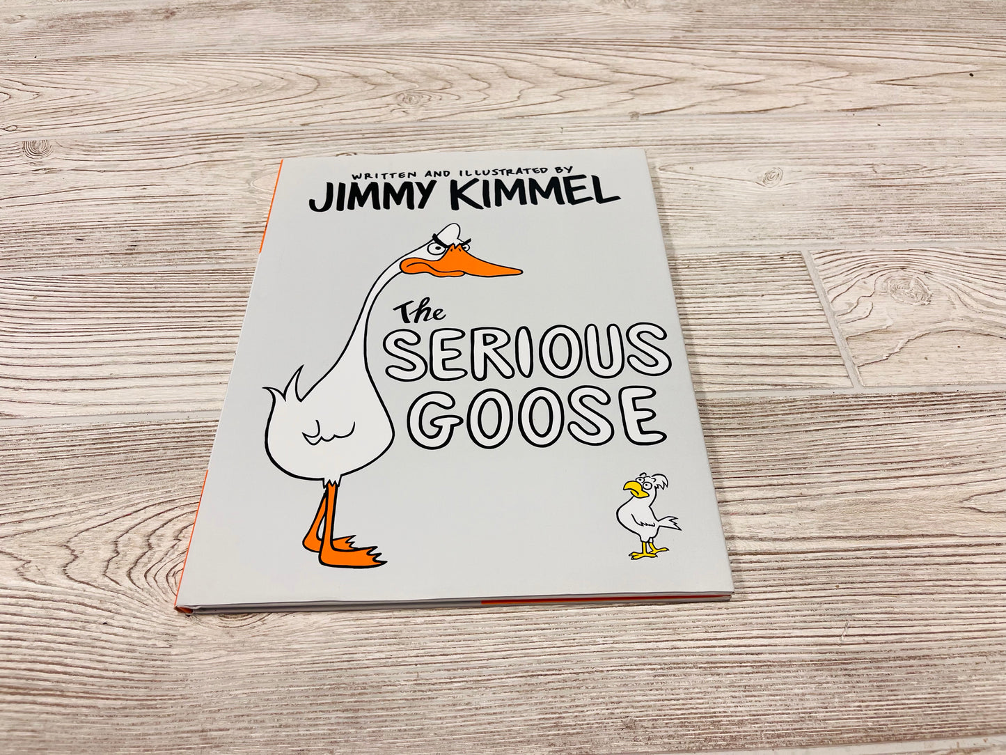 The Serious Goose