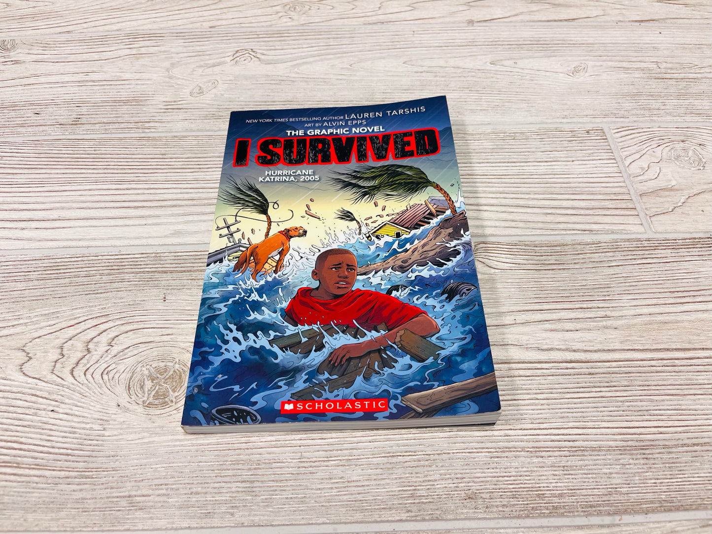 I Survived The Graphic Novel Hurricane Katrina, 2005
