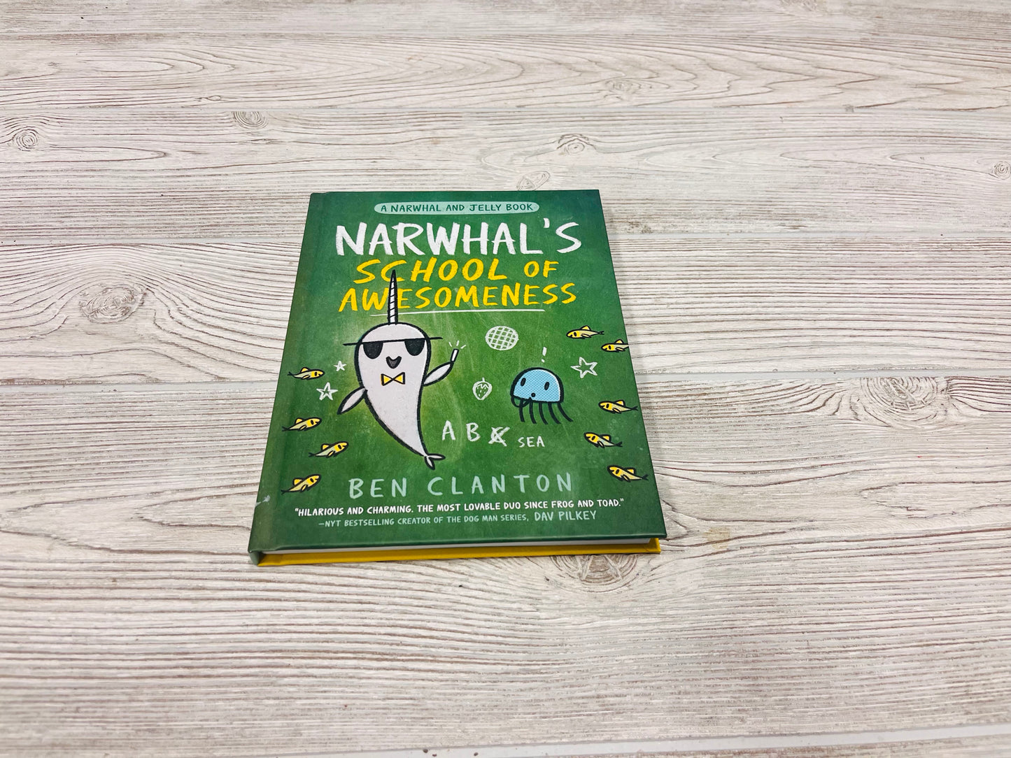 Narwhal’s School Of Awesomeness