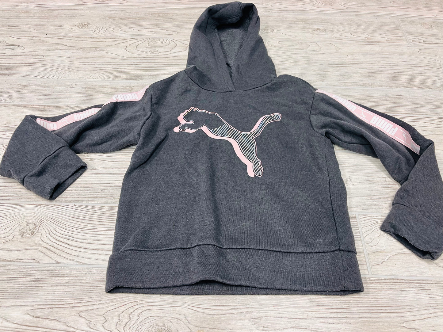 Puma Hooded Sweatshirt