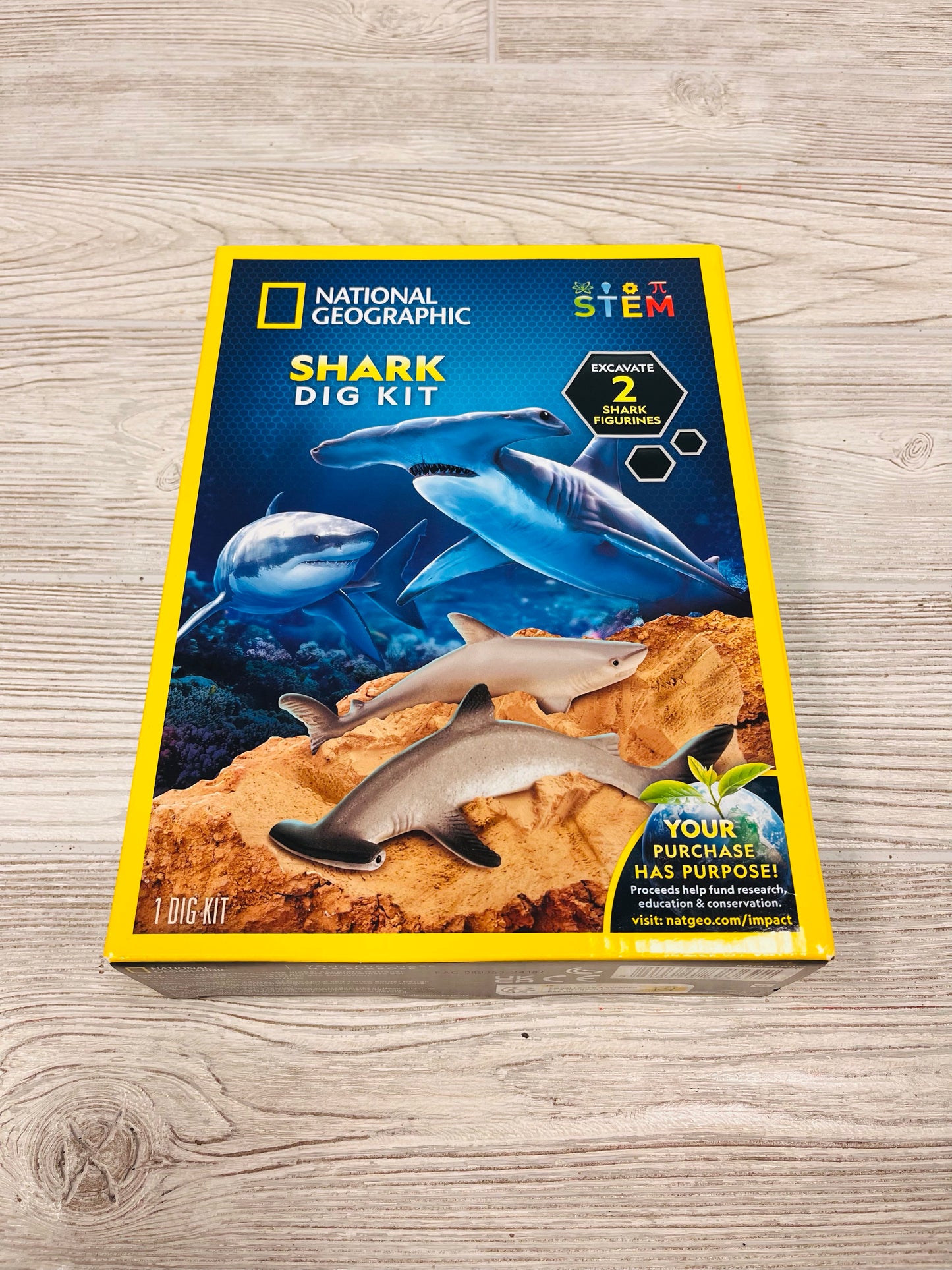 National Geographic STEM Shark Dig Kit