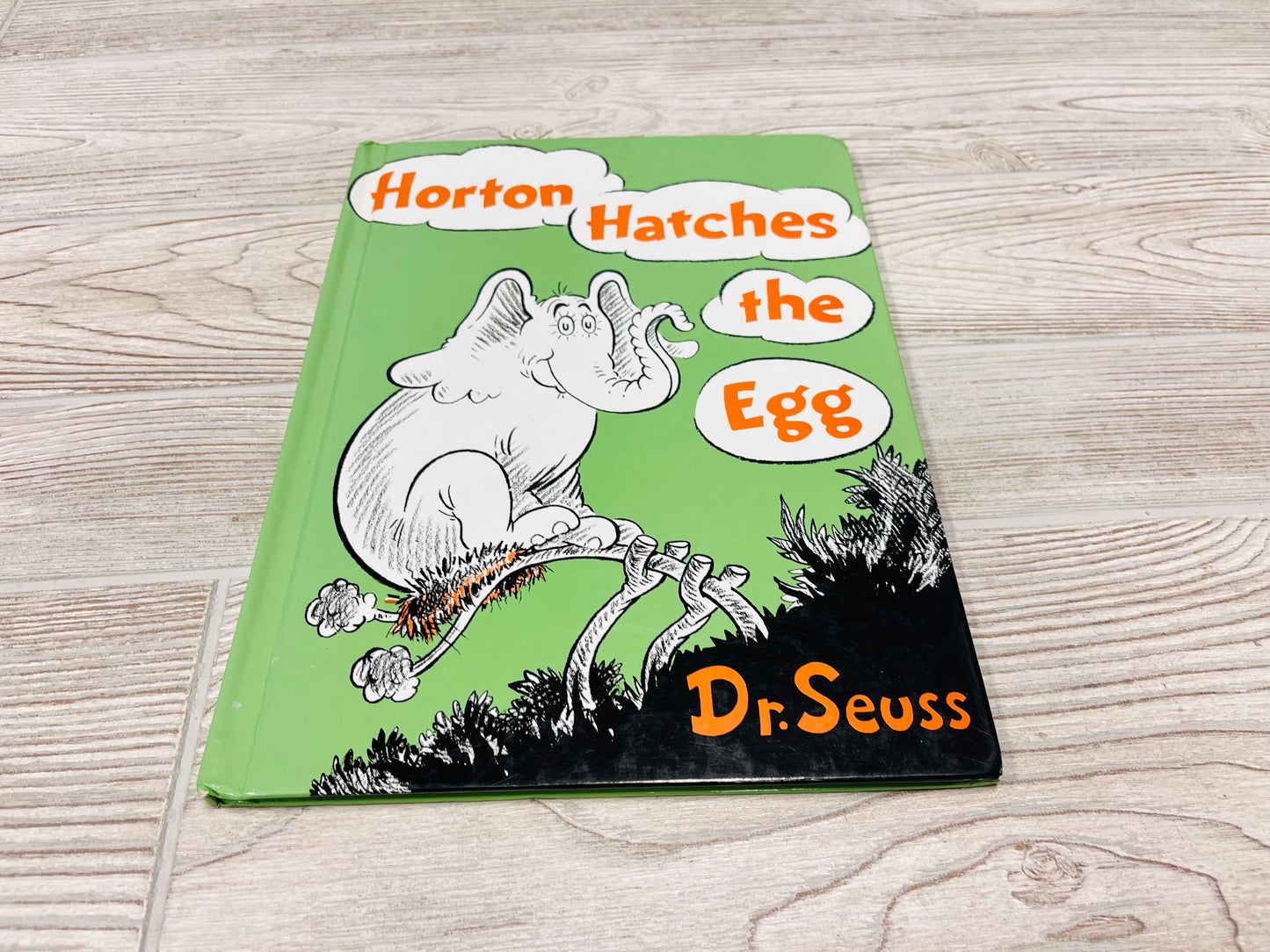 Horton Hatches the Egg