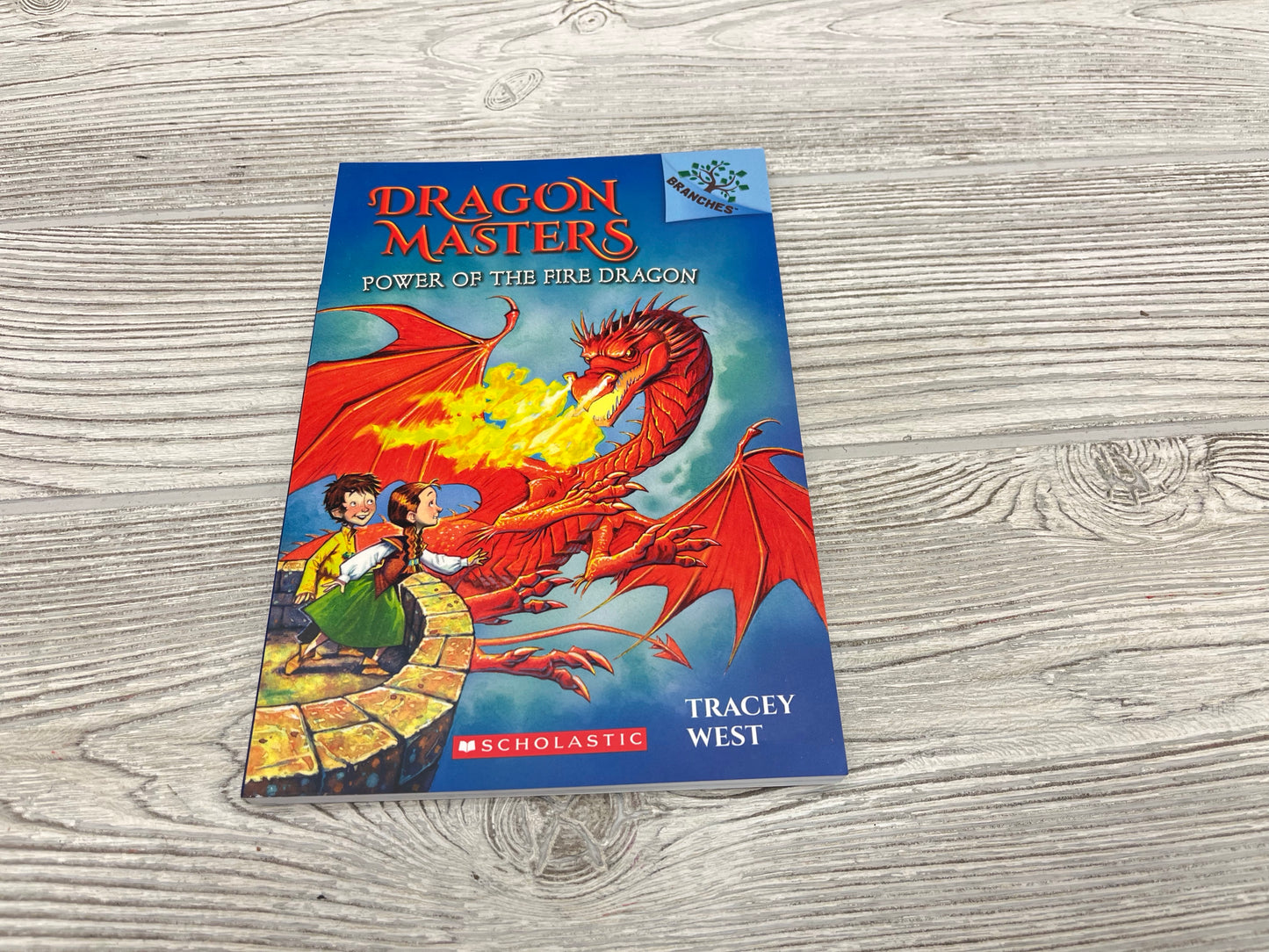 Dragon Masters Power Of The Fire Dragon