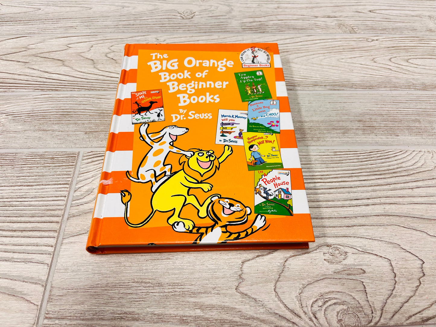 The BIG Orange Book of Beginner Books