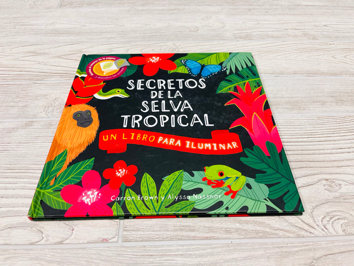 Secretos De La Selva Tropical Un Libro Para Iluminar