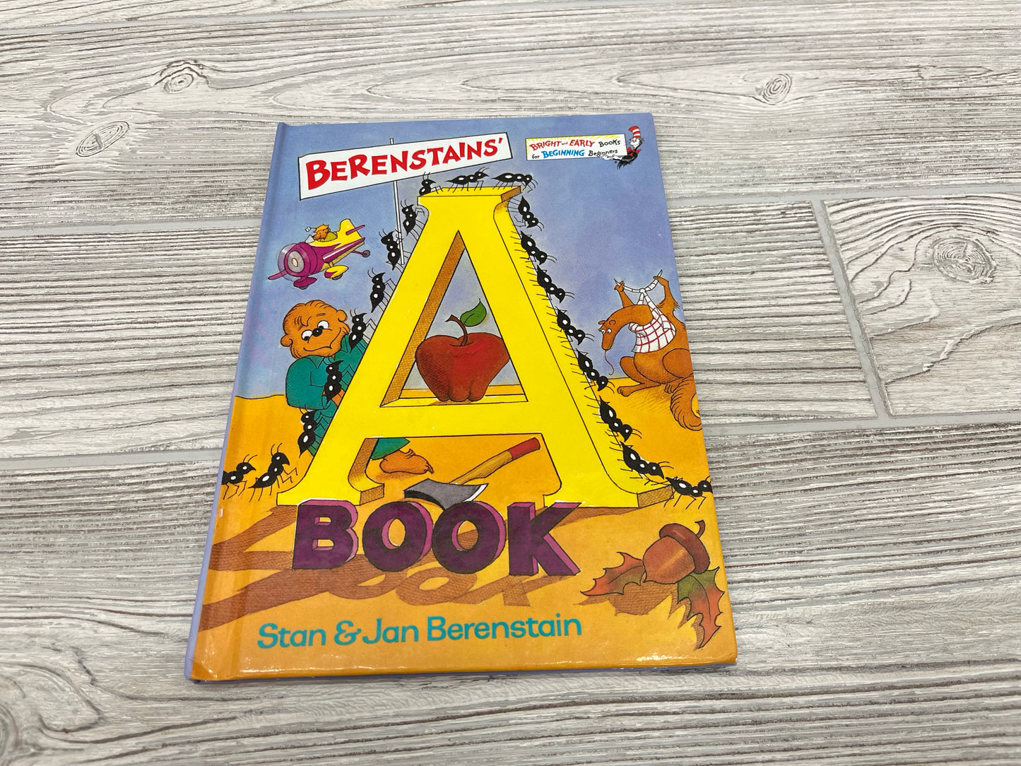 Berenstains’ A Book