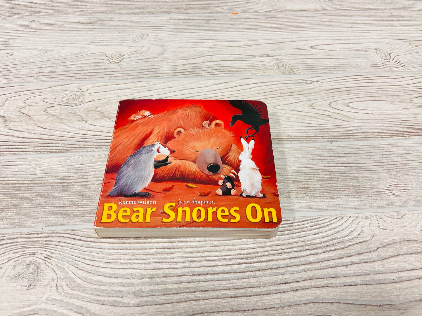 Bear Snores On