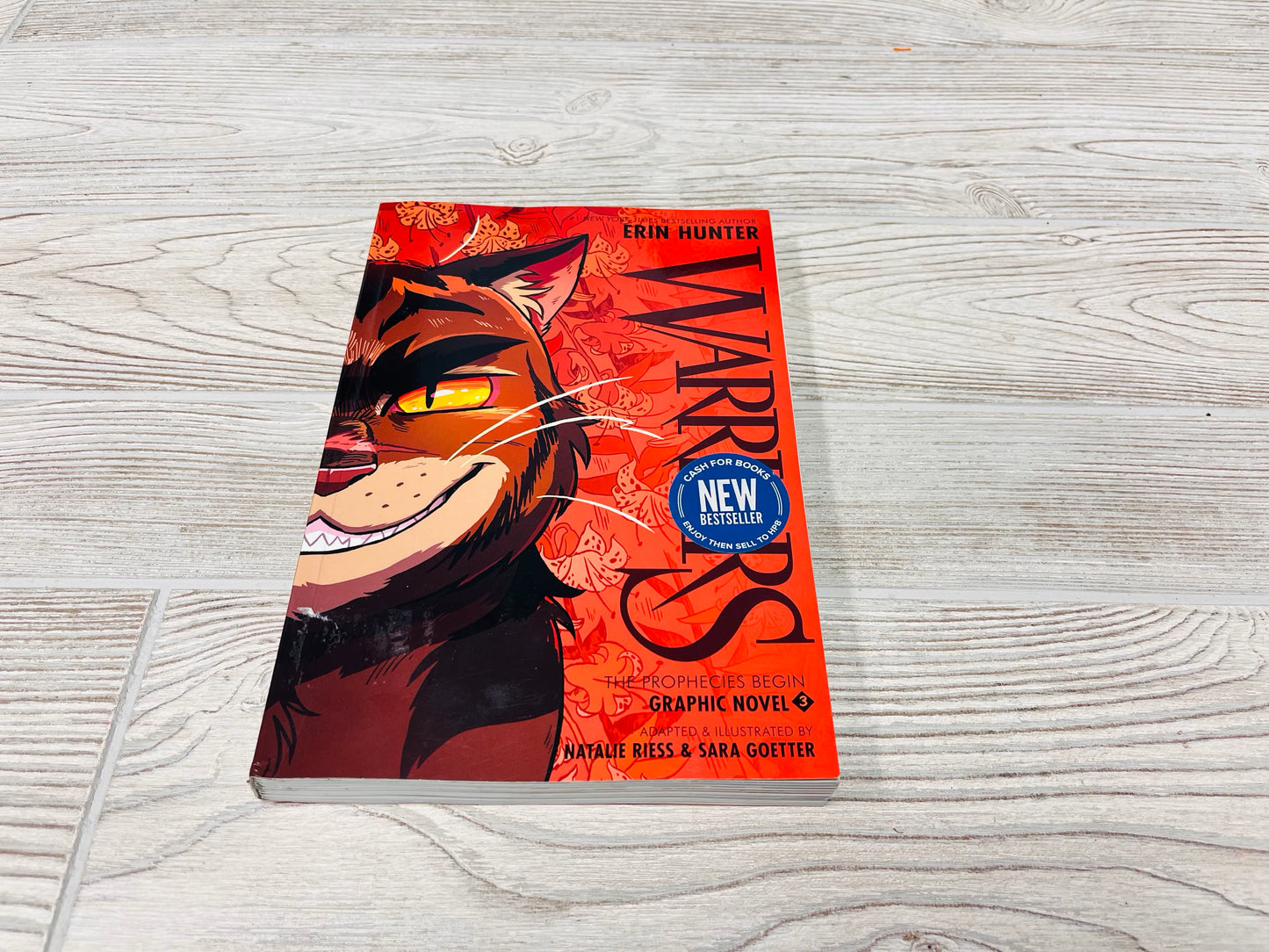 Warriors The Prophecies Begin Graphic Novel 3