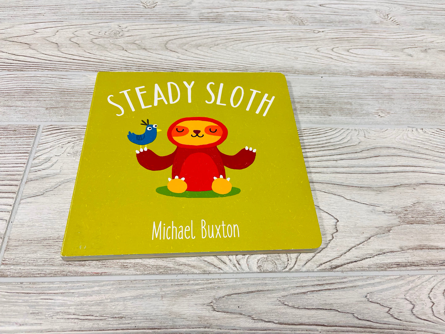 Steady Sloth