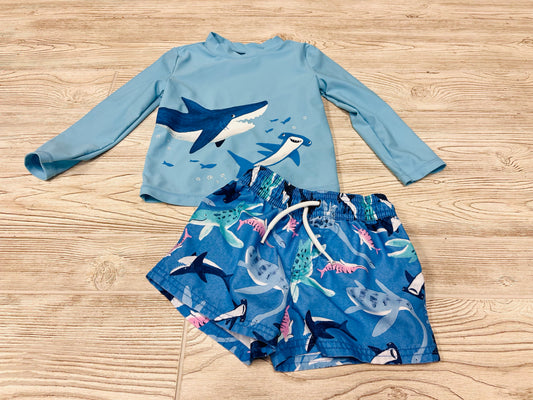 Carter’s Two Piece Boys Swimsuit