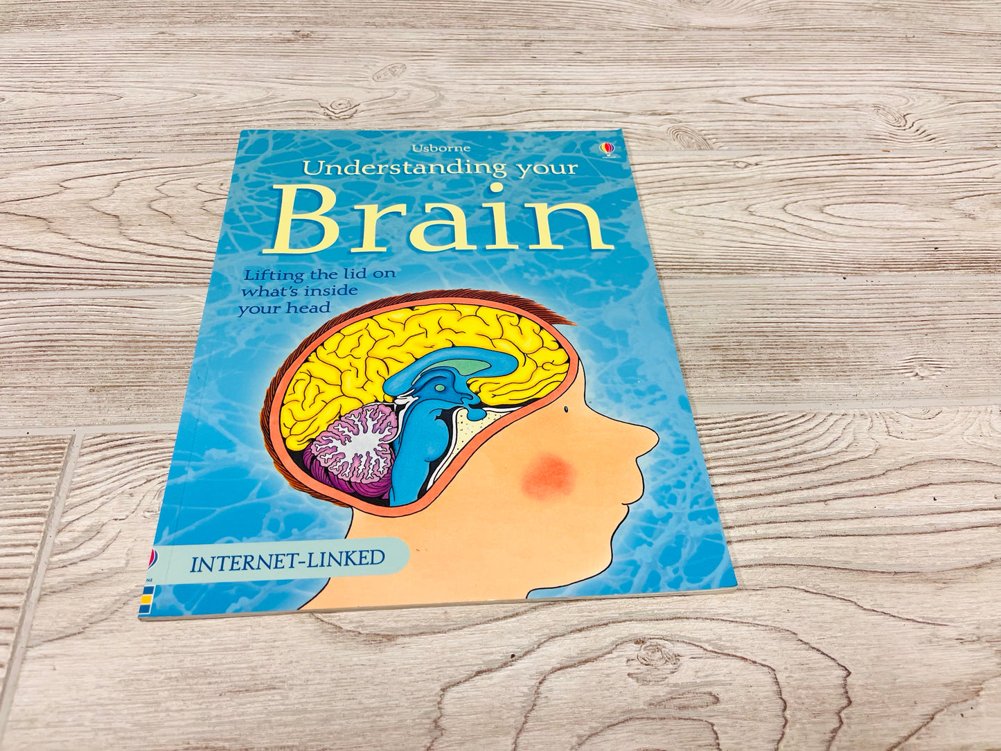 Usborne Understanding your Brain