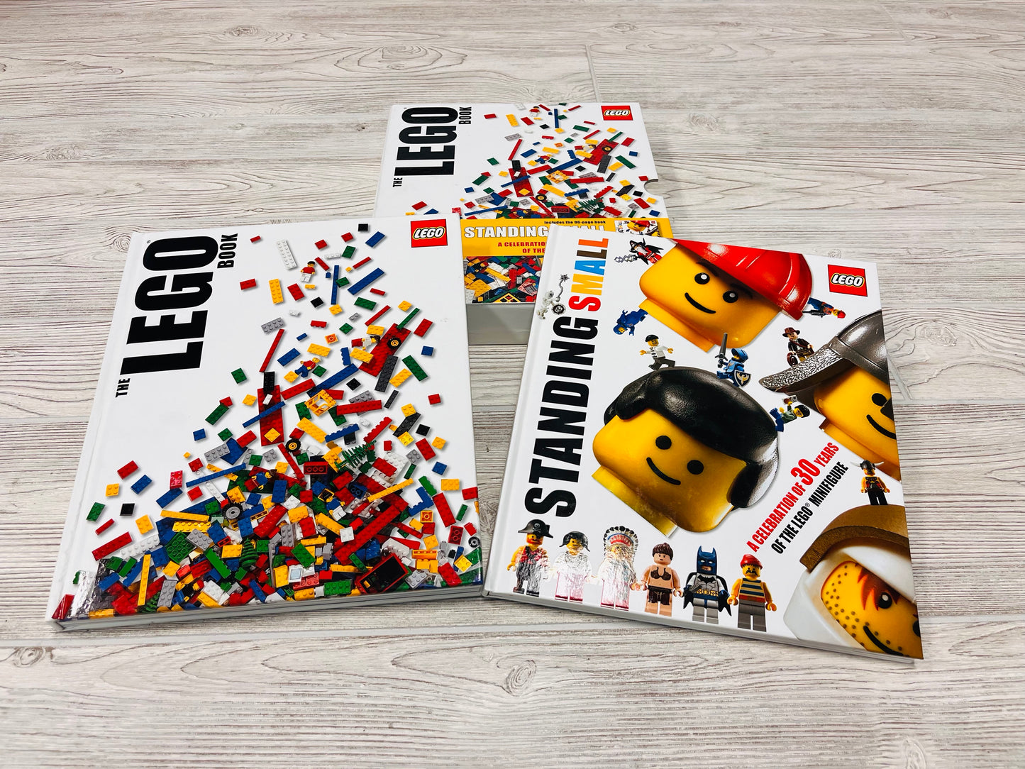 The LEGO®️ Book & Standing Small Book Set