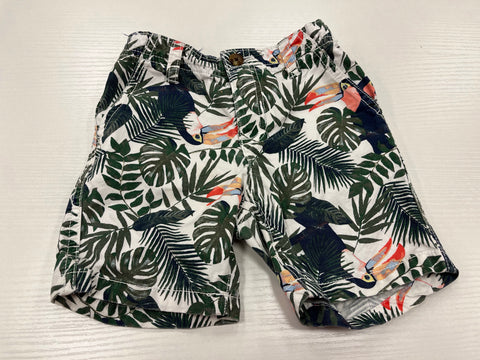 Crazy8 Jungle Print Shorts